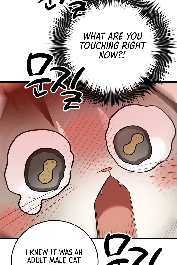 Give Birth to a Baby Wildcat for Me, Unless You Want to See Me Go Insane! Chapter 8 page 105 - 