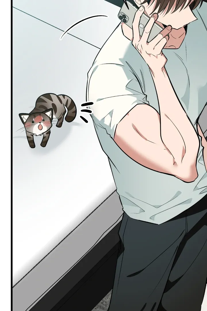 Give Birth to a Baby Wildcat for Me, Unless You Want to See Me Go Insane! Chapter 8 page 109 - 