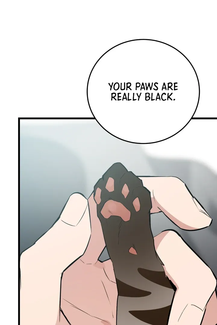 Give Birth to a Baby Wildcat for Me, Unless You Want to See Me Go Insane! Chapter 8 page 124 - 