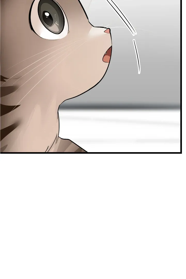 Give Birth to a Baby Wildcat for Me, Unless You Want to See Me Go Insane! Chapter 8 page 133 - 