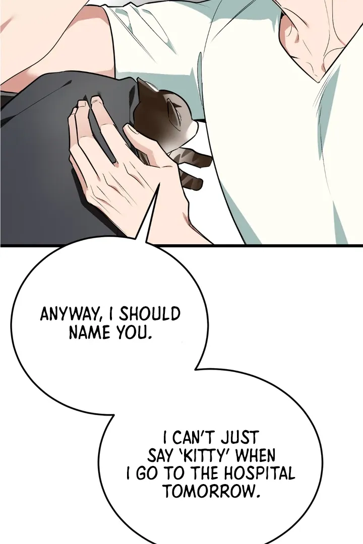 Give Birth to a Baby Wildcat for Me, Unless You Want to See Me Go Insane! Chapter 8 page 135 - 