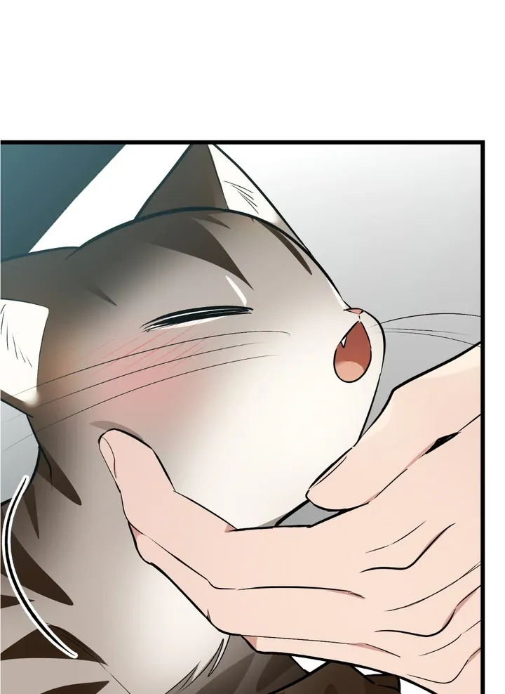 Give Birth to a Baby Wildcat for Me, Unless You Want to See Me Go Insane! Chapter 8 page 139 - 