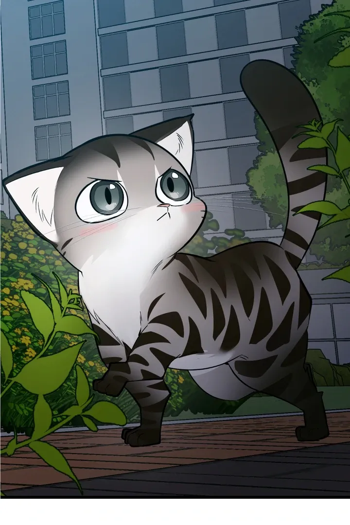 Give Birth to a Baby Wildcat for Me, Unless You Want to See Me Go Insane! Chapter 8 page 40 - 