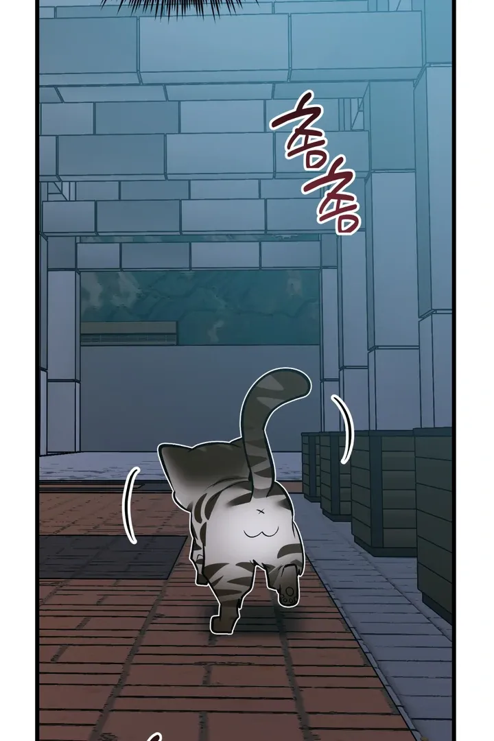 Give Birth to a Baby Wildcat for Me, Unless You Want to See Me Go Insane! Chapter 8 page 42 - 