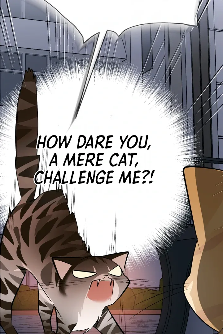 Give Birth to a Baby Wildcat for Me, Unless You Want to See Me Go Insane! Chapter 8 page 50 - 