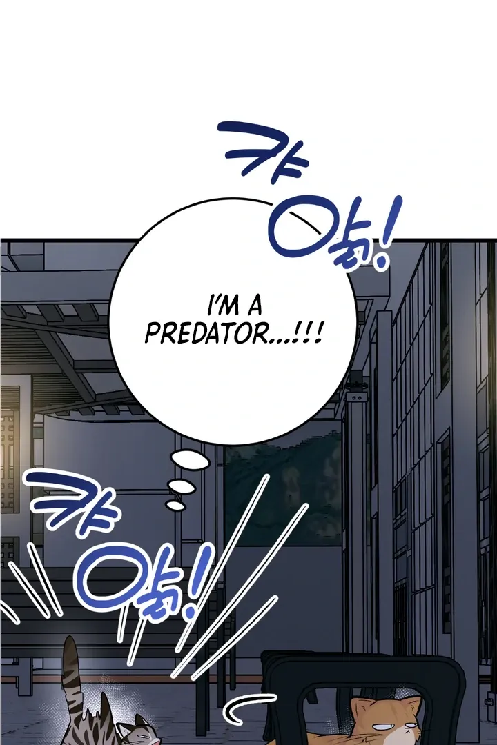 Give Birth to a Baby Wildcat for Me, Unless You Want to See Me Go Insane! Chapter 8 page 52 - 