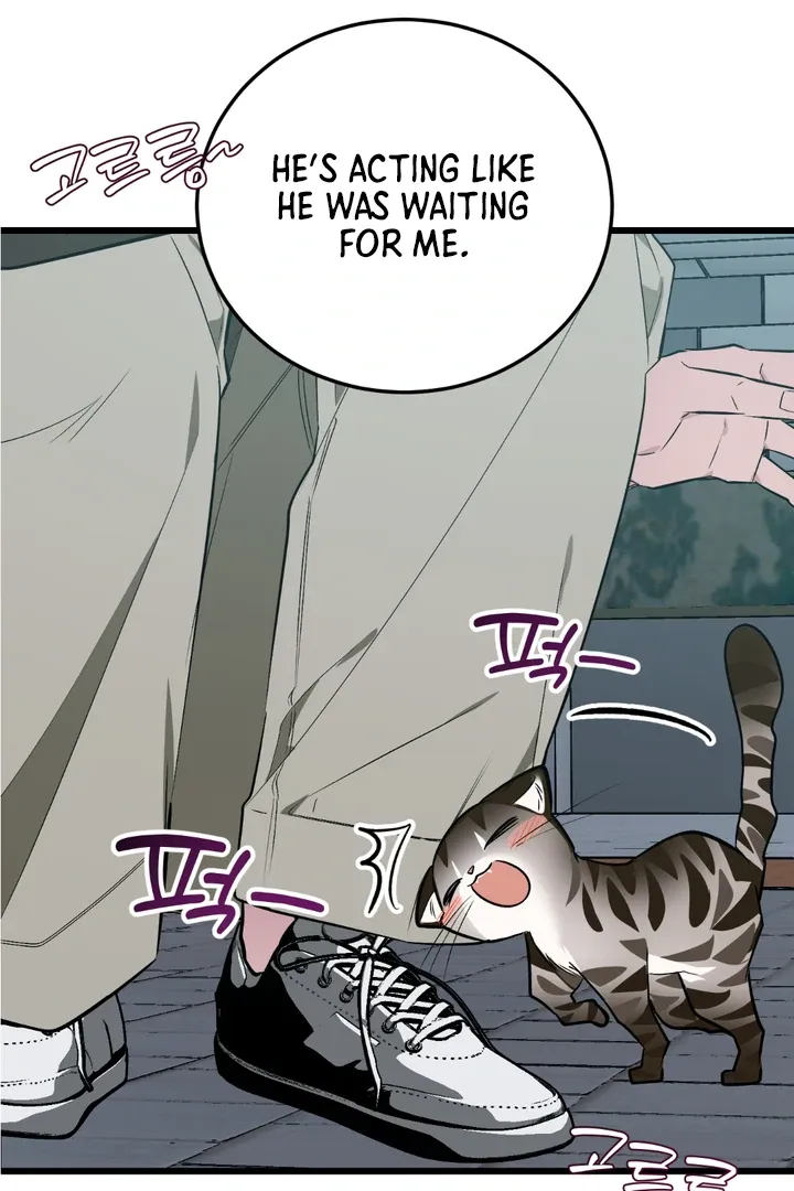 Give Birth to a Baby Wildcat for Me, Unless You Want to See Me Go Insane! Chapter 8 page 61 - 