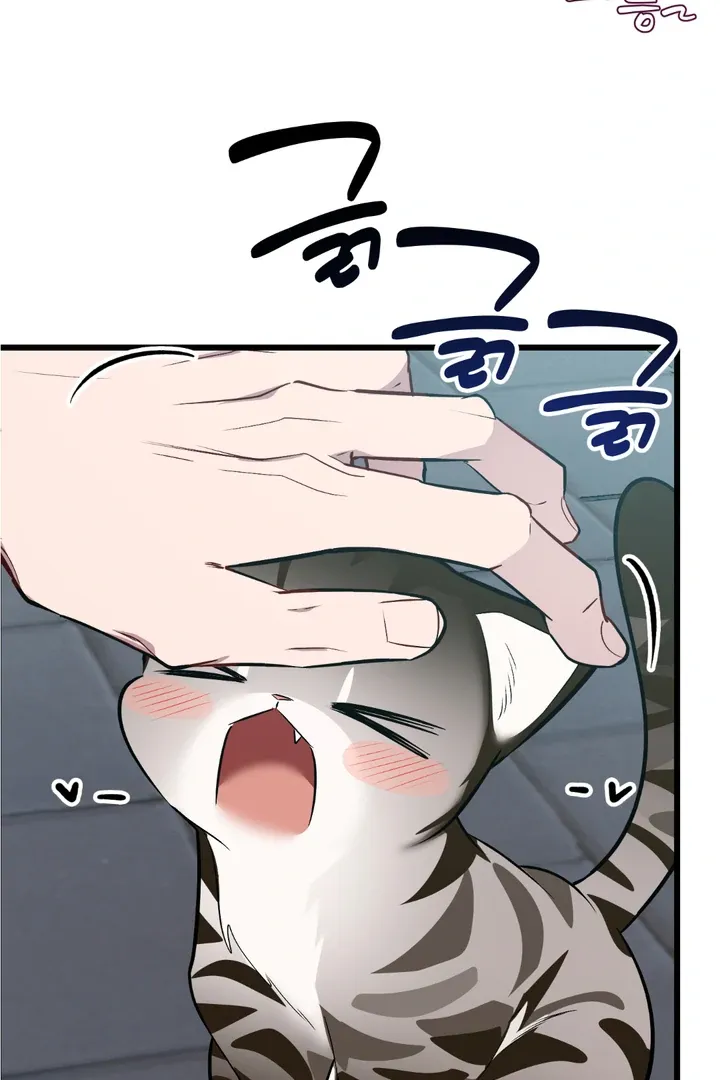 Give Birth to a Baby Wildcat for Me, Unless You Want to See Me Go Insane! Chapter 8 page 62 - 