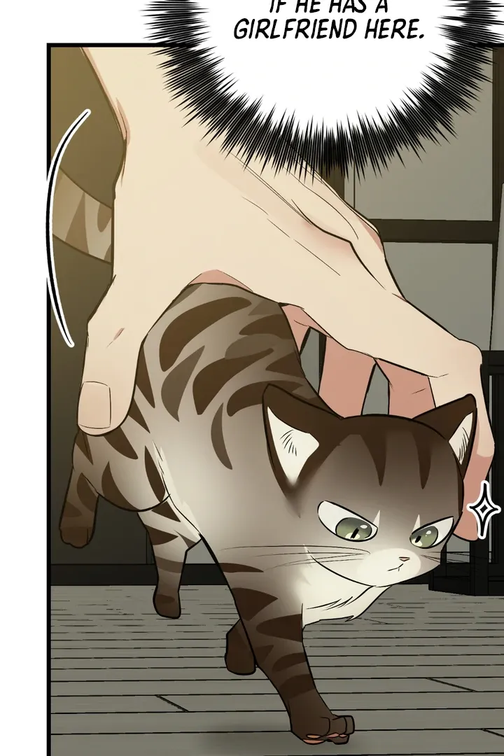 Give Birth to a Baby Wildcat for Me, Unless You Want to See Me Go Insane! Chapter 8 page 68 - 