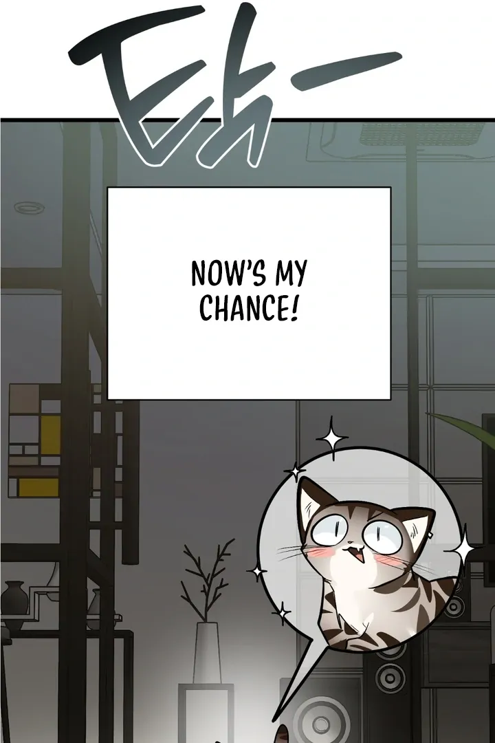 Give Birth to a Baby Wildcat for Me, Unless You Want to See Me Go Insane! Chapter 8 page 73 - 