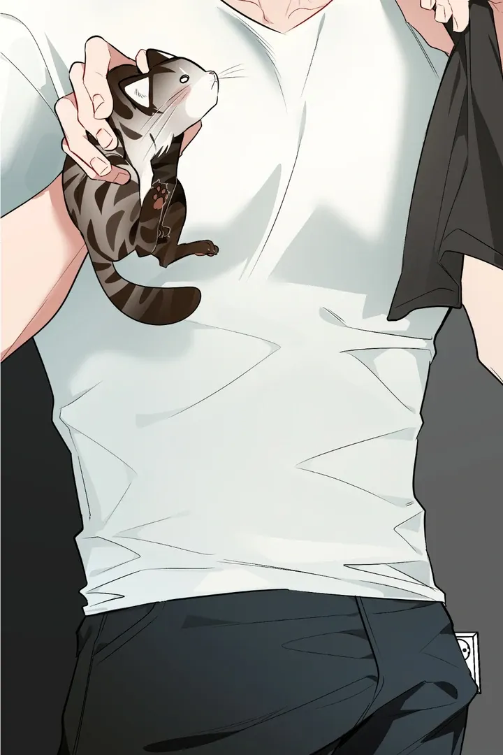 Give Birth to a Baby Wildcat for Me, Unless You Want to See Me Go Insane! Chapter 8 page 87 - 