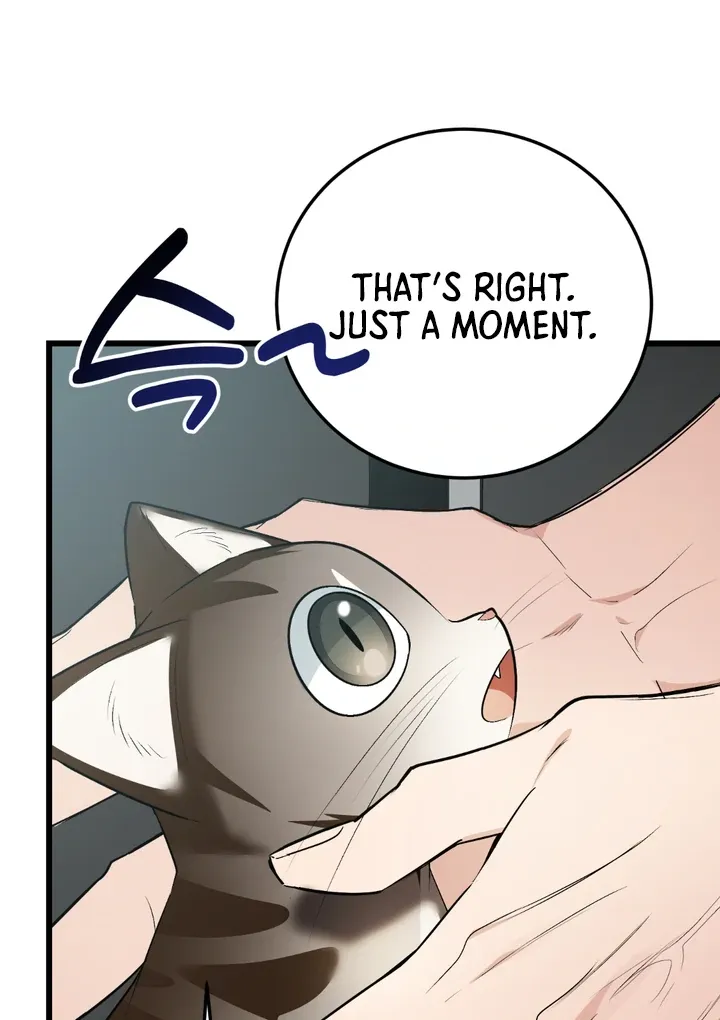 Give Birth to a Baby Wildcat for Me, Unless You Want to See Me Go Insane! Chapter 8 page 98 - 