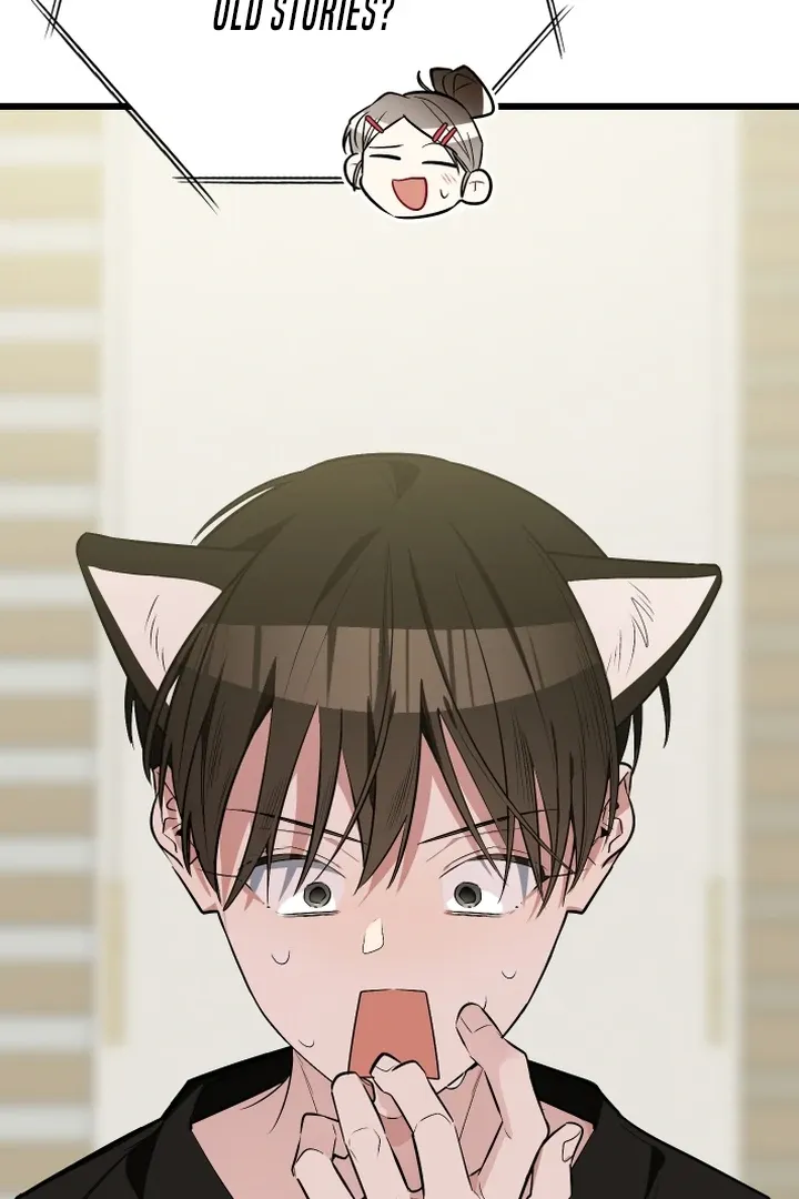 Give Birth to a Baby Wildcat for Me, Unless You Want to See Me Go Insane! Chapter 9 page 146 - 