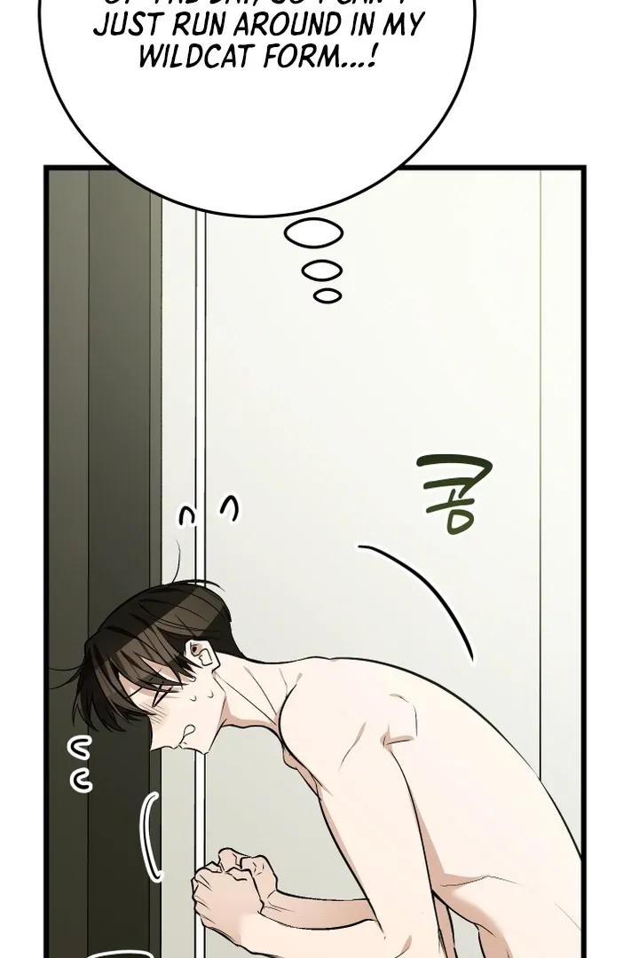 Give Birth to a Baby Wildcat for Me, Unless You Want to See Me Go Insane! Chapter 9 page 24 - 