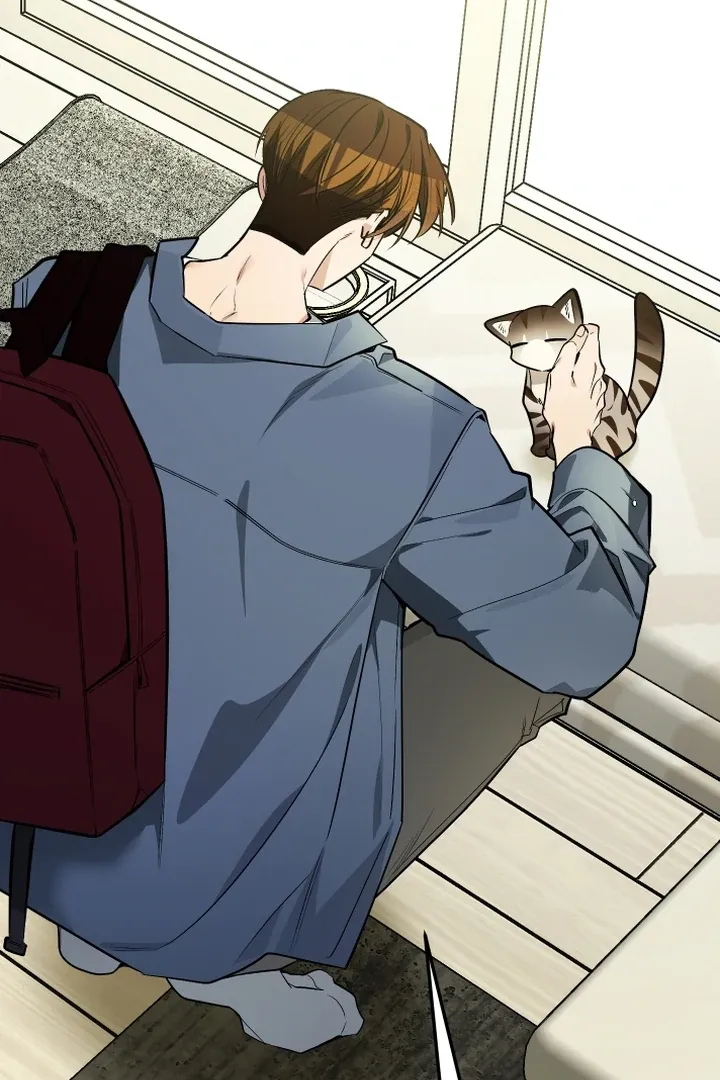 Give Birth to a Baby Wildcat for Me, Unless You Want to See Me Go Insane! Chapter 9 page 7 - 