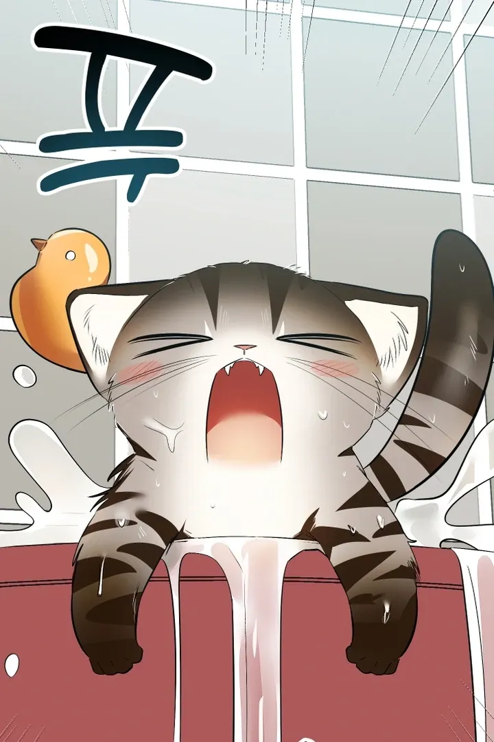 Give Birth to a Baby Wildcat for Me, Unless You Want to See Me Go Insane! Chapter 9 page 80 - 