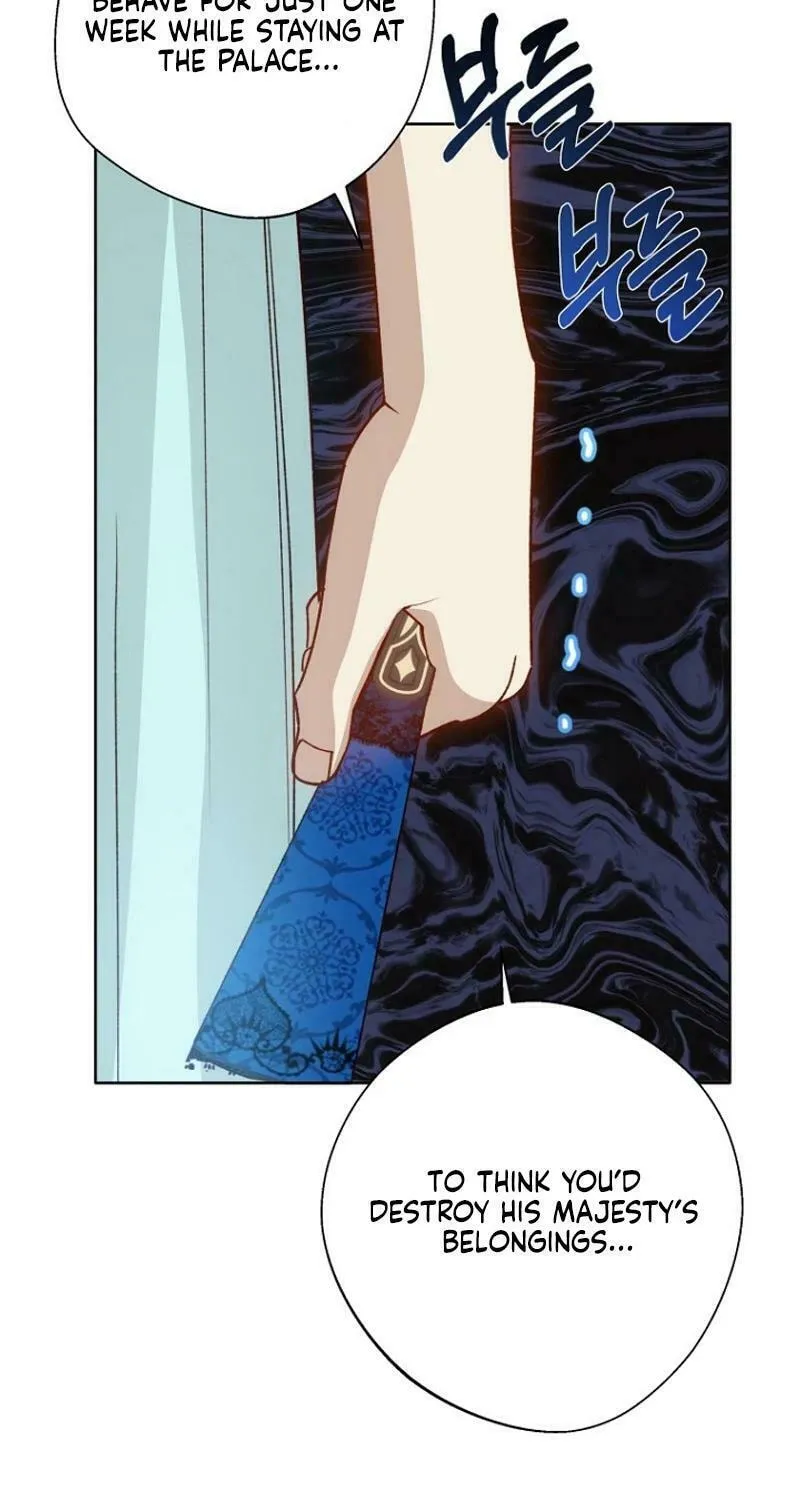 Goddess Kingmaker Chapter 7 page 64 - 