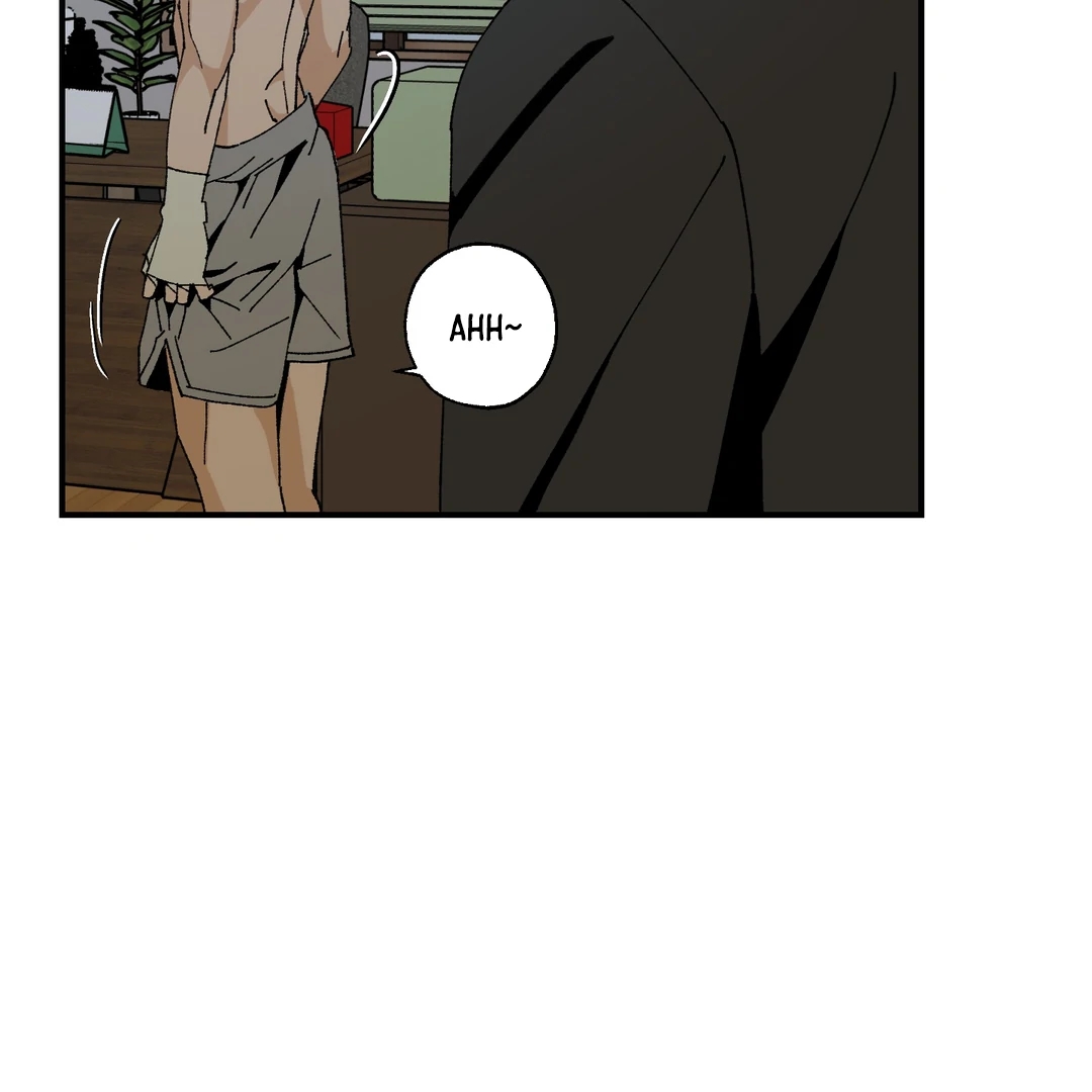 God’s Peace Chapter 7.1 page 45 - 