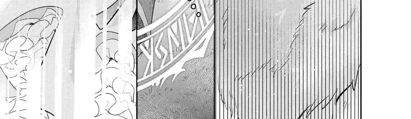 Gokai Sareta "Migawari no Majo" wa, Kokuou kara Saisho no Koi to Saigo no Koi o Sasagerareru Chapter 1.1 page 11 - 