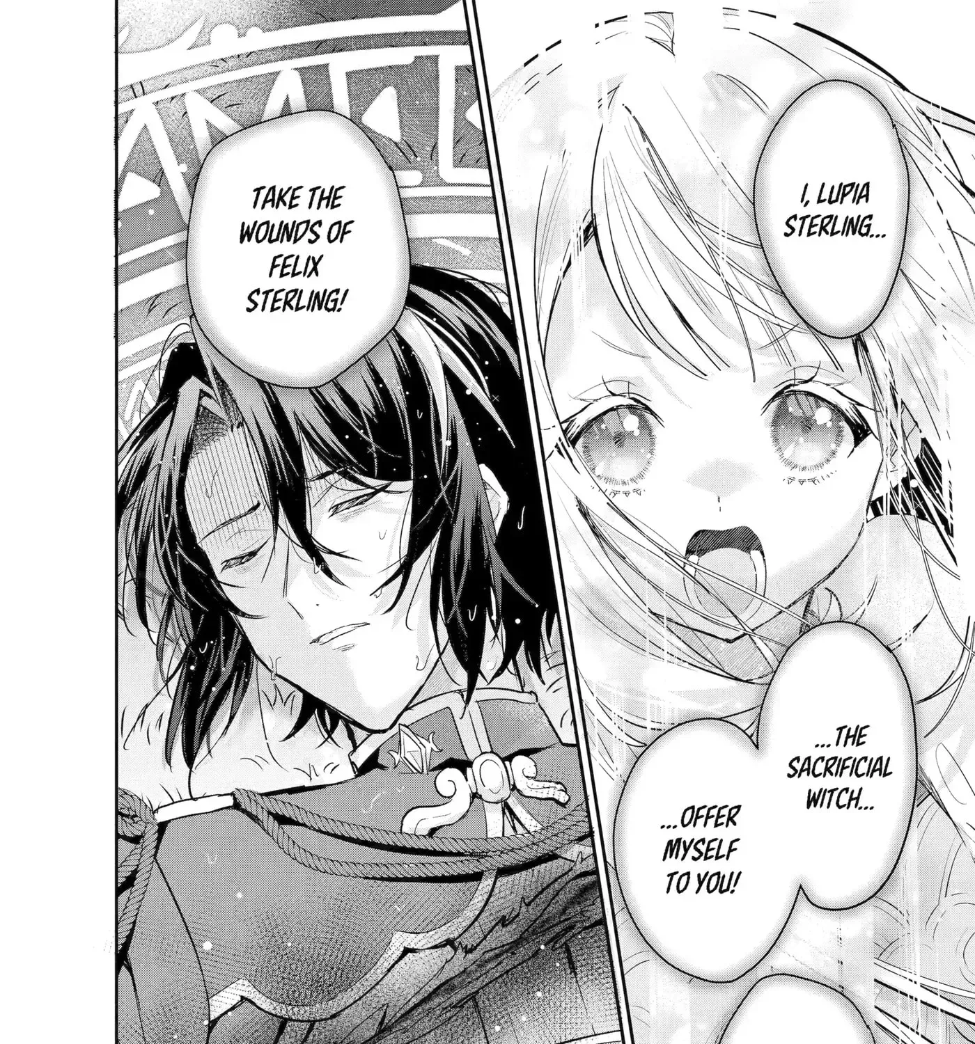 Gokai Sareta "Migawari no Majo" wa, Kokuou kara Saisho no Koi to Saigo no Koi o Sasagerareru Chapter 1.1 page 12 - 