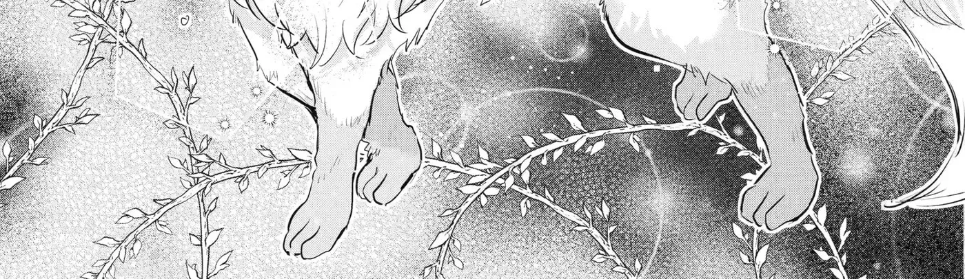 Gokai Sareta "Migawari no Majo" wa, Kokuou kara Saisho no Koi to Saigo no Koi o Sasagerareru Chapter 1.1 page 9 - 
