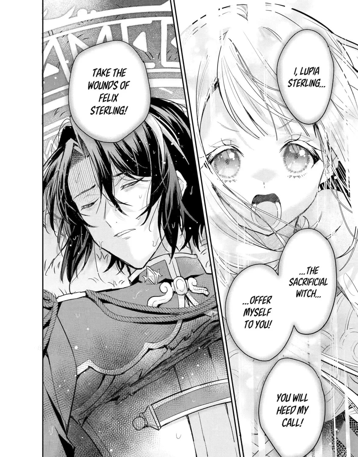 Gokai Sareta "Migawari no Majo" wa, Kokuou kara Saisho no Koi to Saigo no Koi o Sasagerareru Chapter 1 page 13 - 