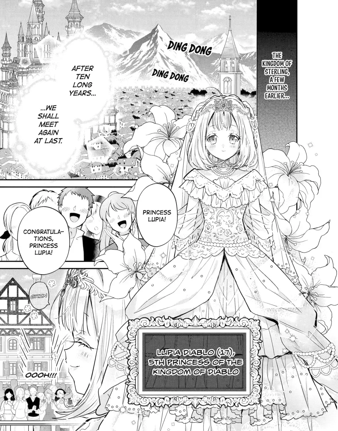 Gokai Sareta "Migawari no Majo" wa, Kokuou kara Saisho no Koi to Saigo no Koi o Sasagerareru Chapter 1 page 27 - 