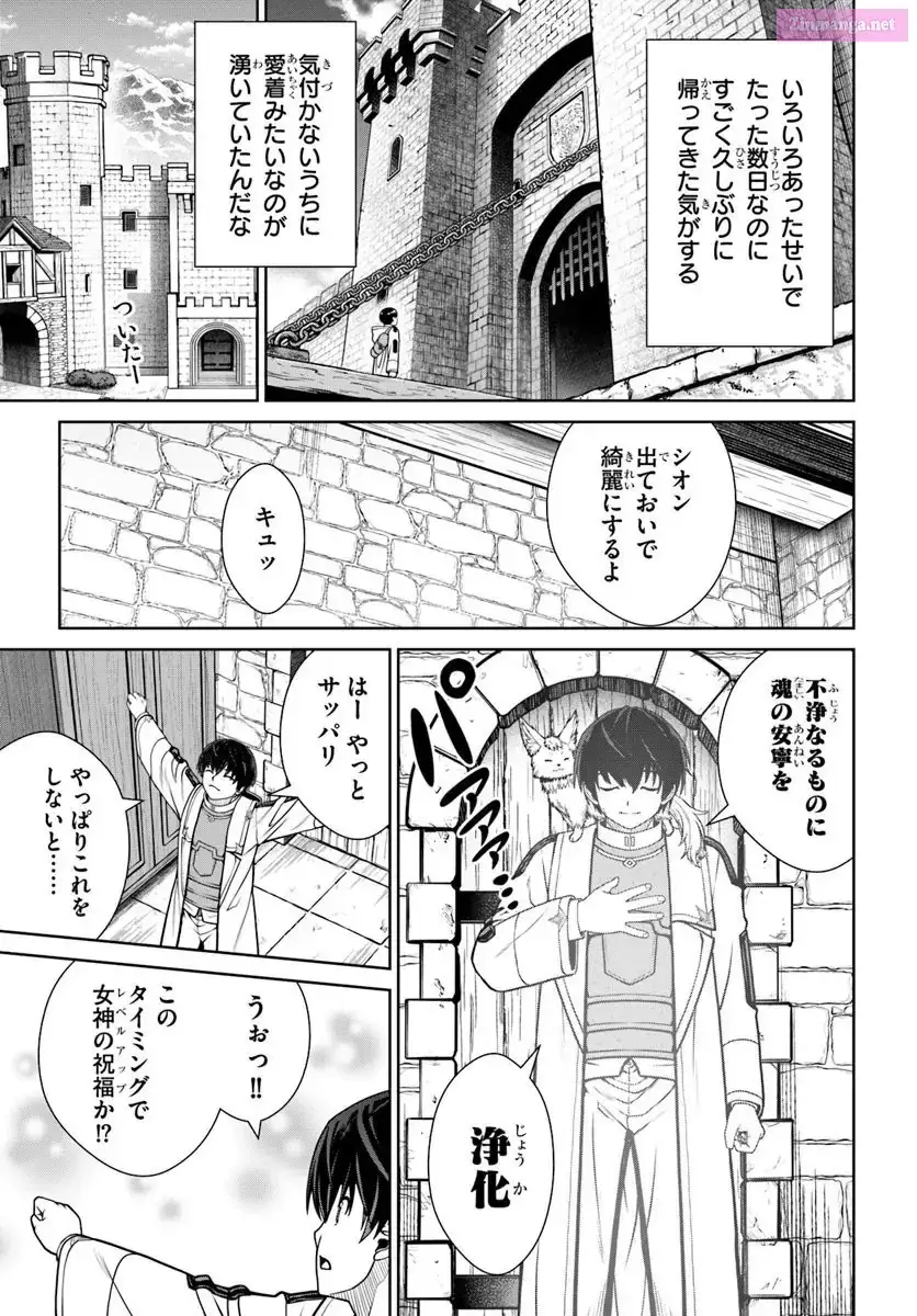 Gokufuri Kyohi Shite Tesaguri Start! Tokka Shinai Healer, Nakama to Wakarete Tabi ni Deru Chapter 52 page 17 - 