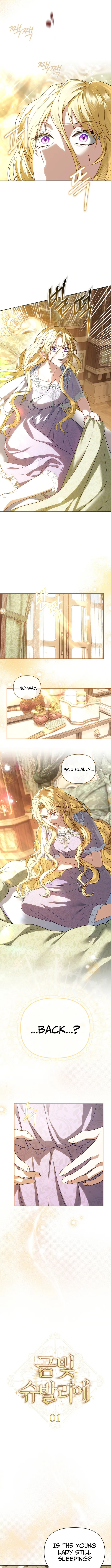 Golden Chevalier Chapter 1 page 10 - 