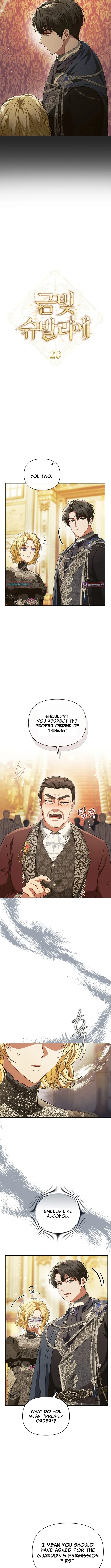 Golden Chevalier Chapter 20 page 2 - 
