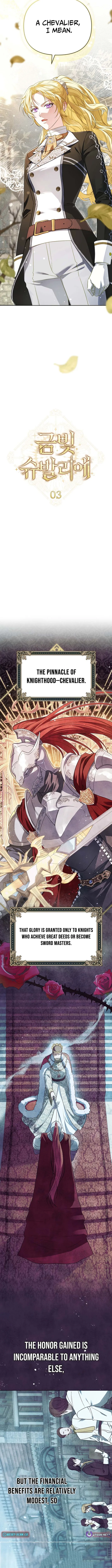 Golden Chevalier Chapter 3 page 4 - 