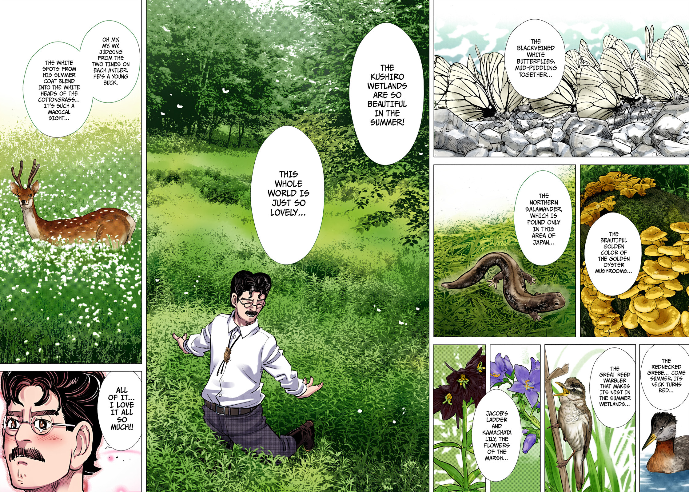 Golden Kamuy (Colored) Chapter 108 page 13 - 