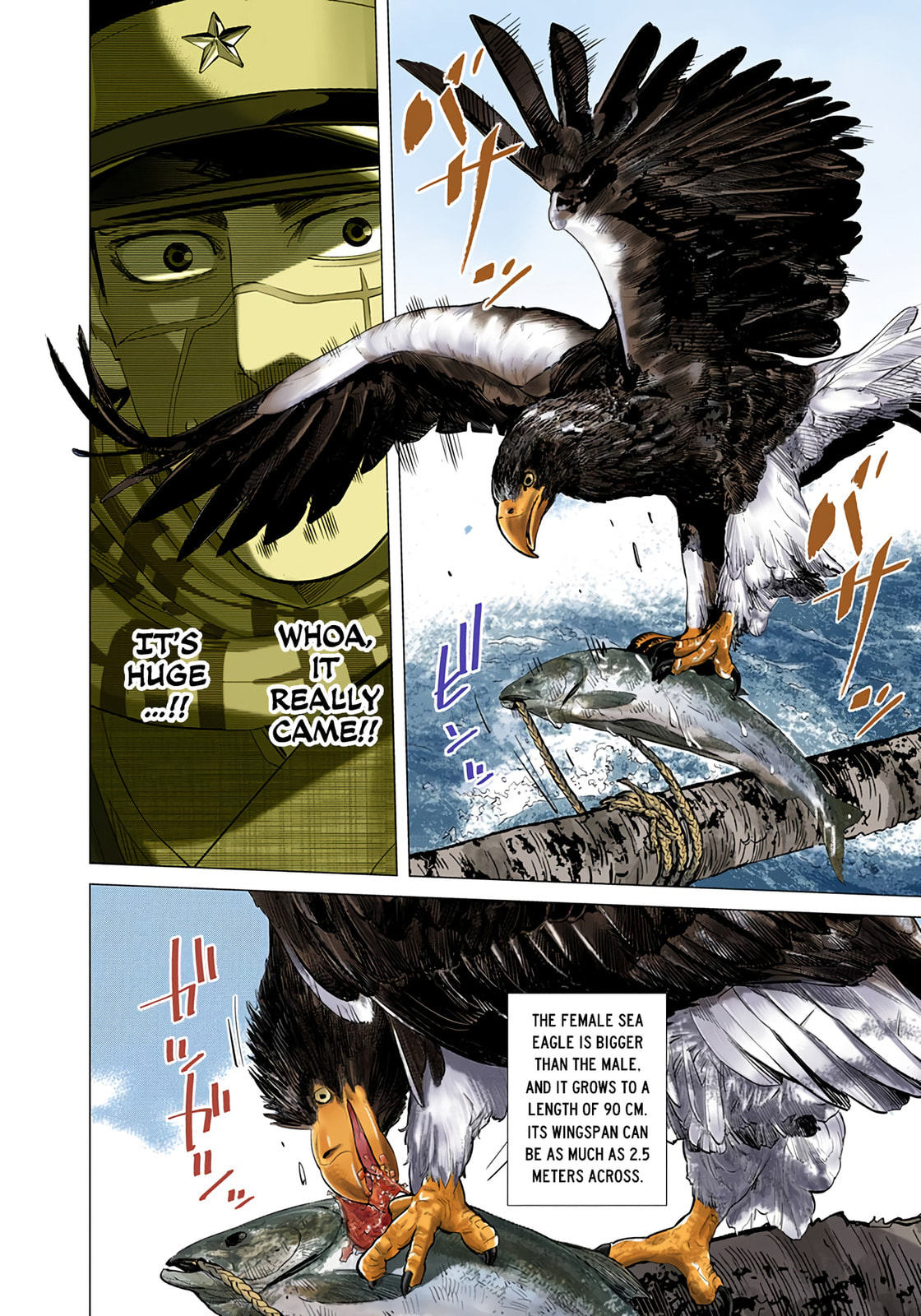 Golden Kamuy (Colored) Chapter 32 page 9 - 