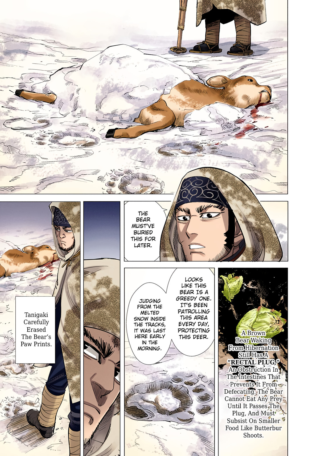 Golden Kamuy (Colored) Chapter 45 page 8 - 