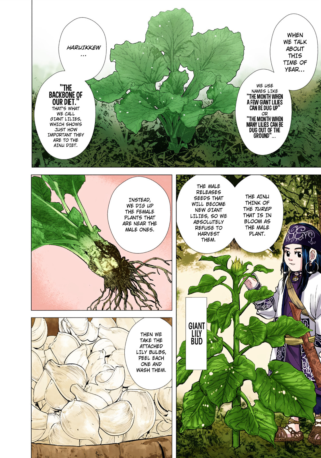 Golden Kamuy (Colored) Chapter 91 page 10 - 