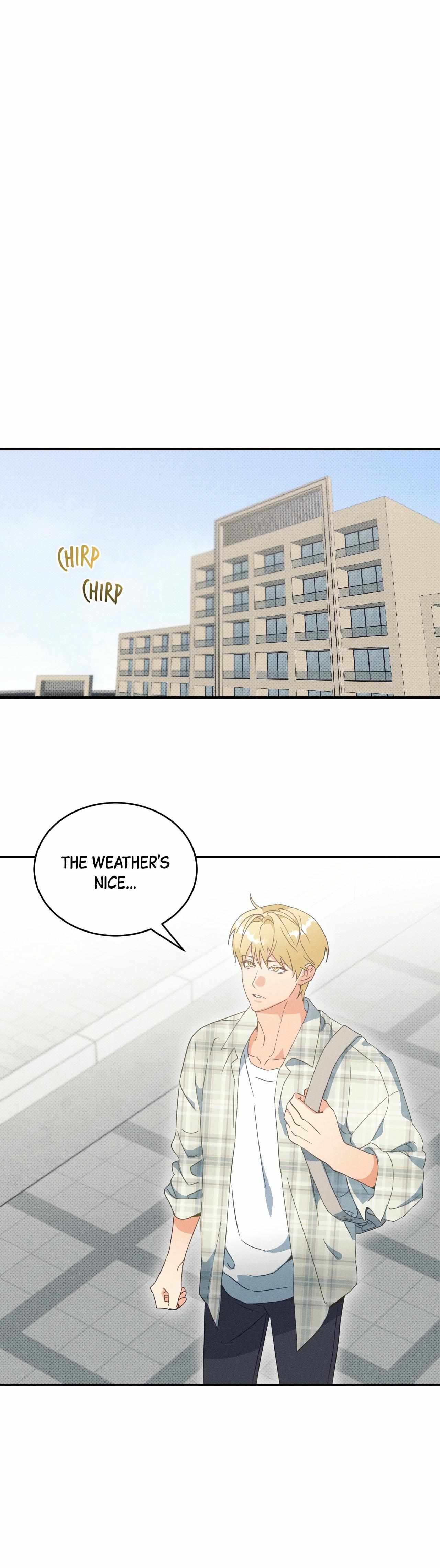 Golden Light for You Chapter 17 page 26 - 