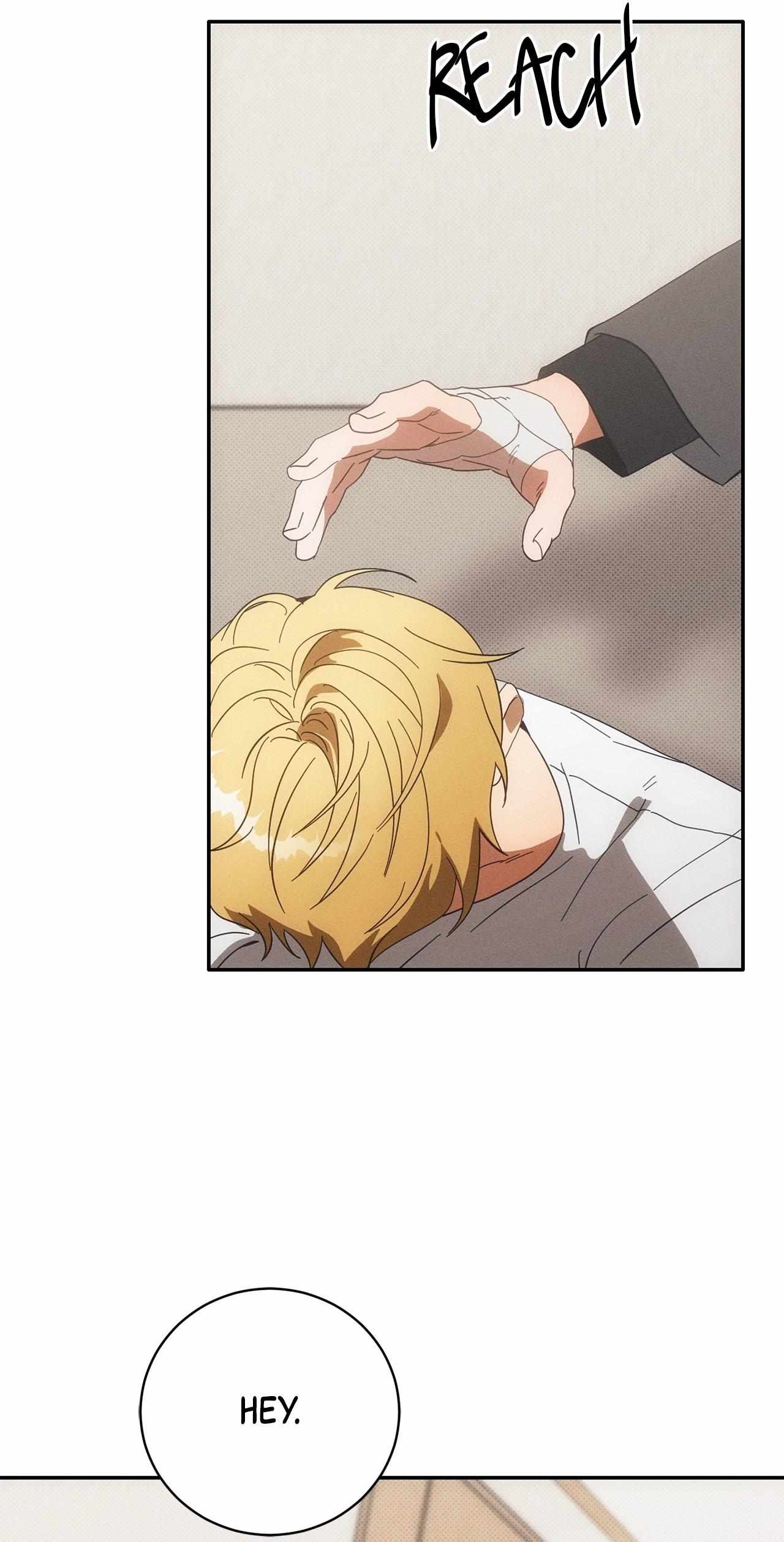 Golden Light for You Chapter 23 page 8 - 