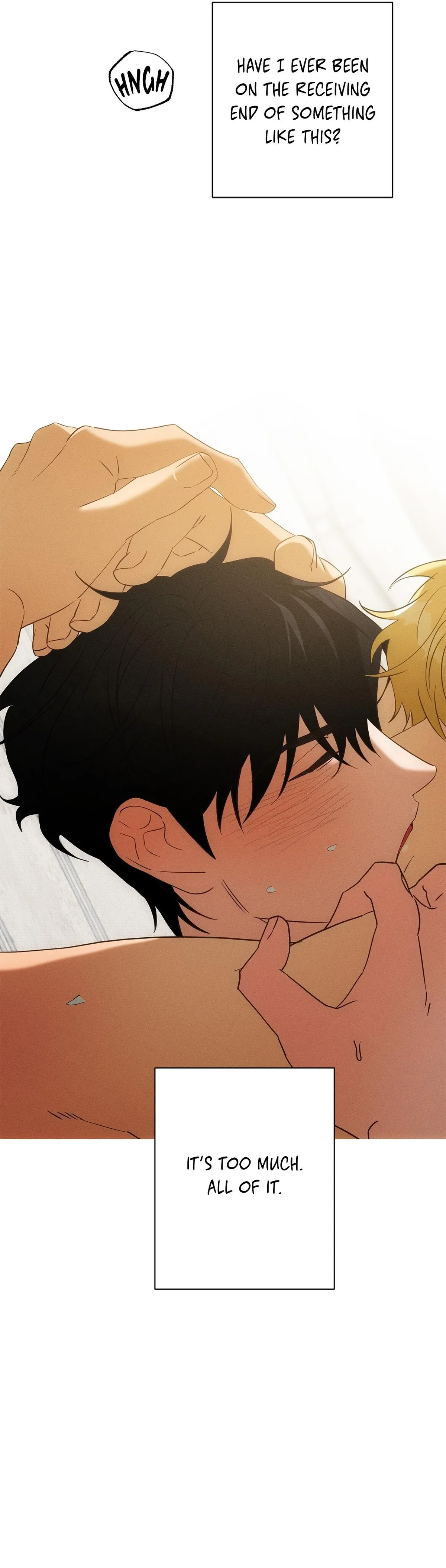Golden Light for You Chapter 30 page 9 - 