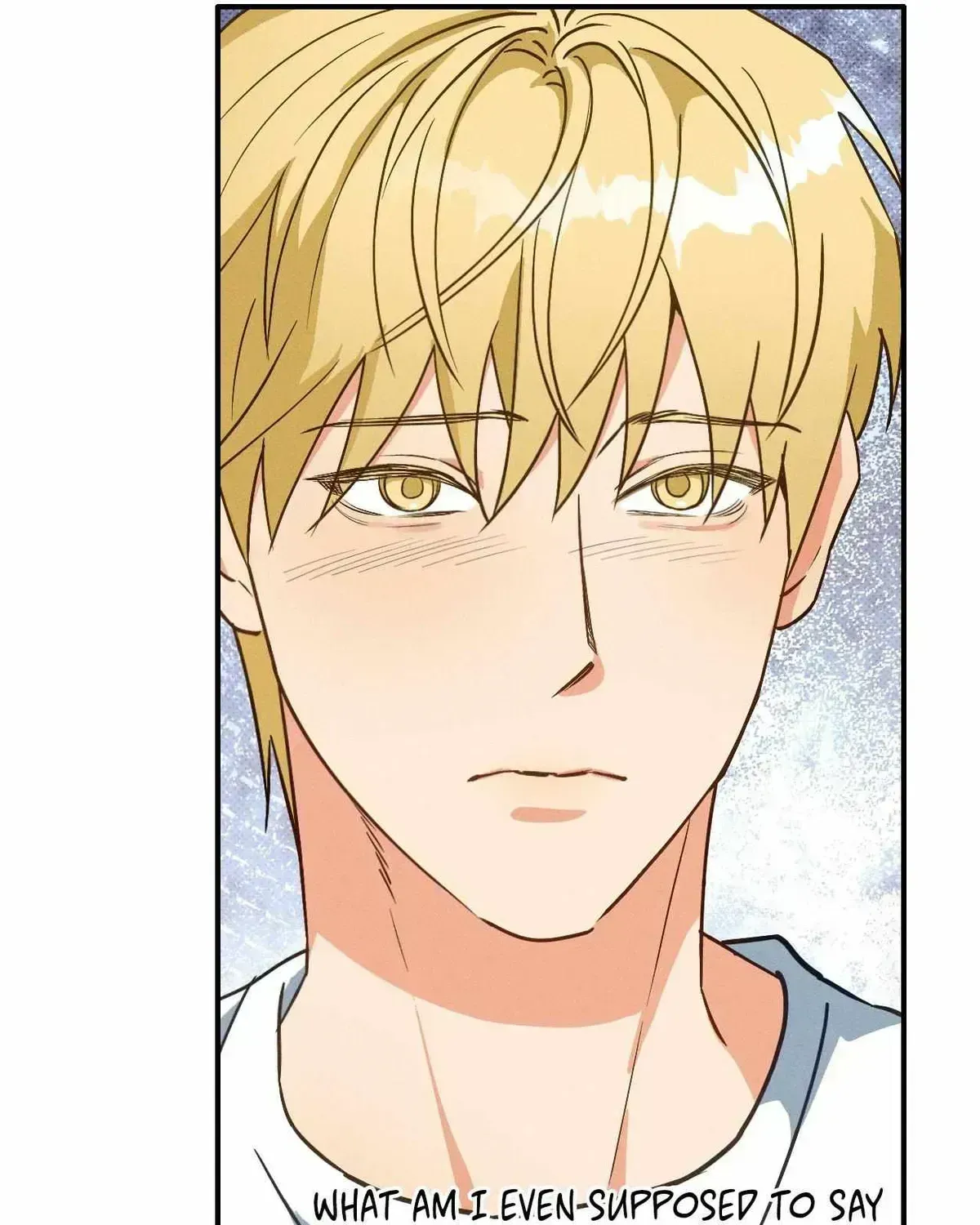 Golden Light for You Chapter 9.3 page 13 - 