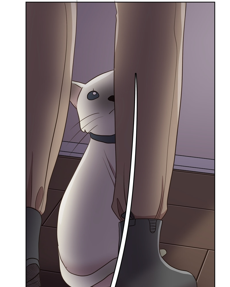 Gourmet Hound Chapter 137 page 64 - 