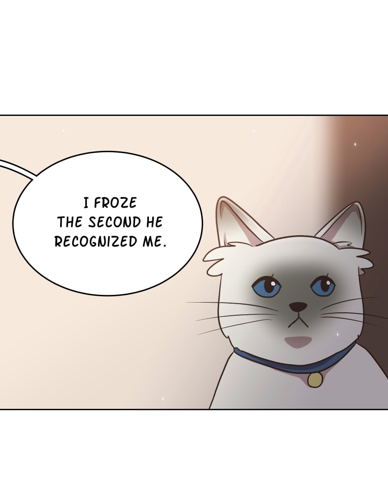 Gourmet Hound Chapter 143 page 76 - 