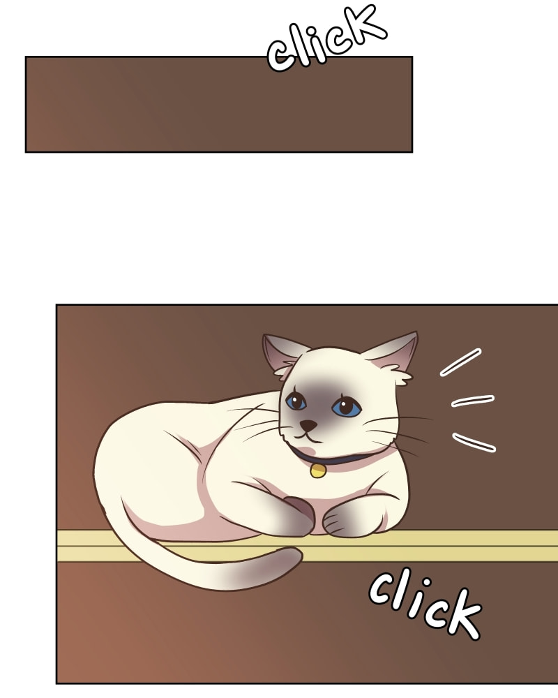 Gourmet Hound Chapter 157 page 62 - 