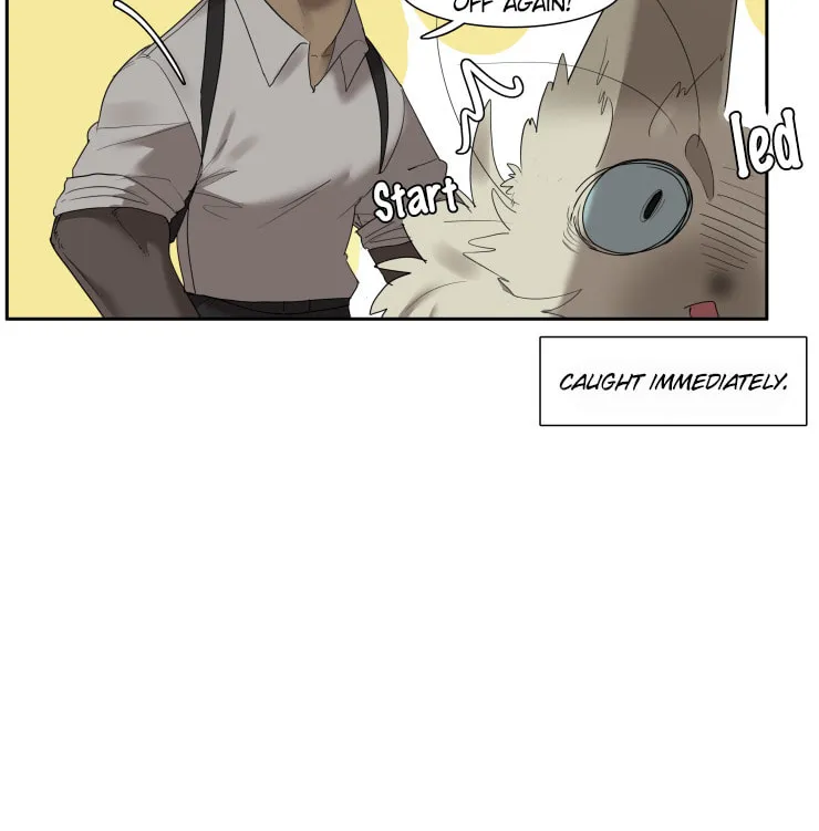 Goyangi Agassiwa Gyeonghowondeul (Colored) Chapter 231 page 14 - 