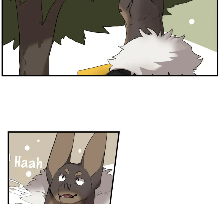 Goyangi Agassiwa Gyeonghowondeul (Colored) Chapter 249.5 page 8 - 