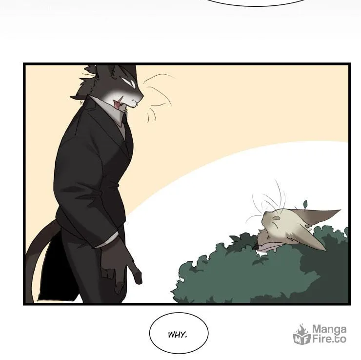 Goyangi Agassiwa Gyeonghowondeul (Colored) Chapter 249 page 18 - 