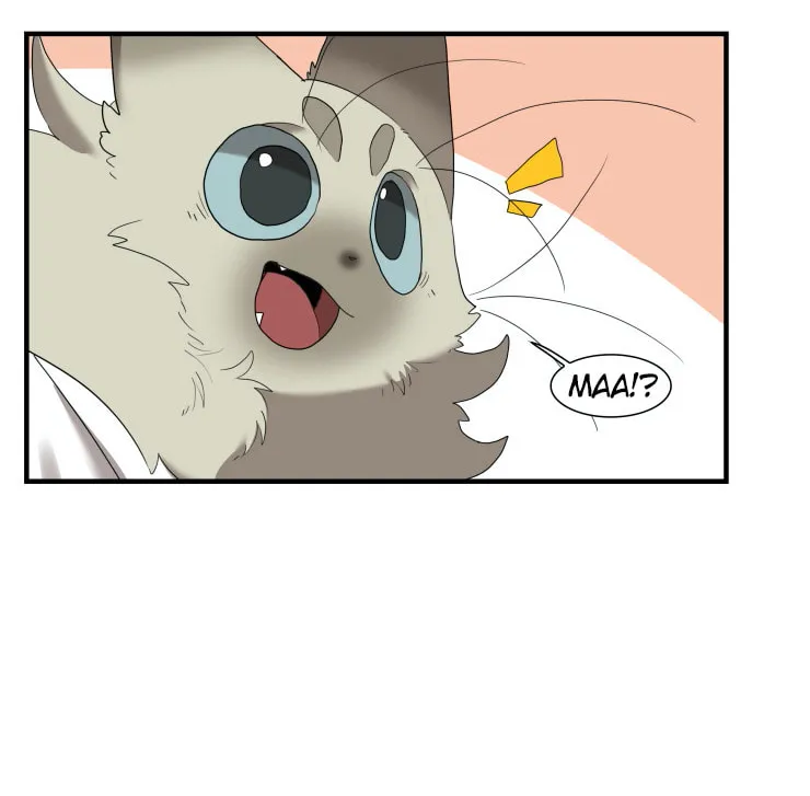 Goyangi Agassiwa Gyeonghowondeul (Colored) Chapter 253 page 8 - 