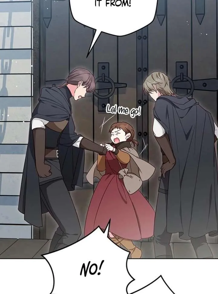 Grand Duchess’s Constitution Chapter 20 page 155 - 