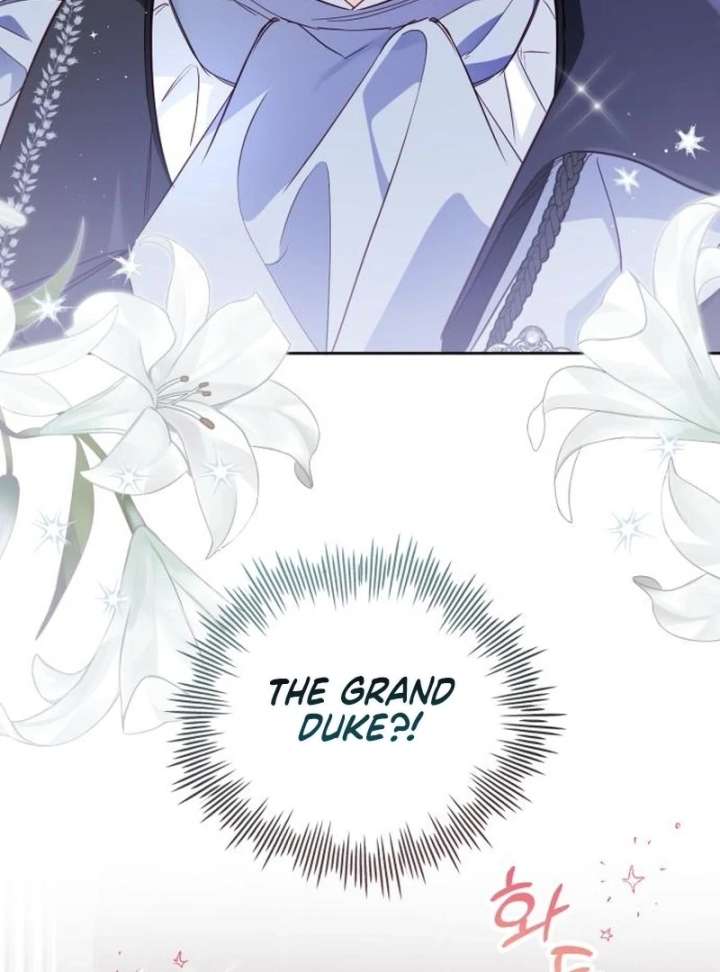 Grand Duchess’s Constitution Chapter 27 page 103 - 