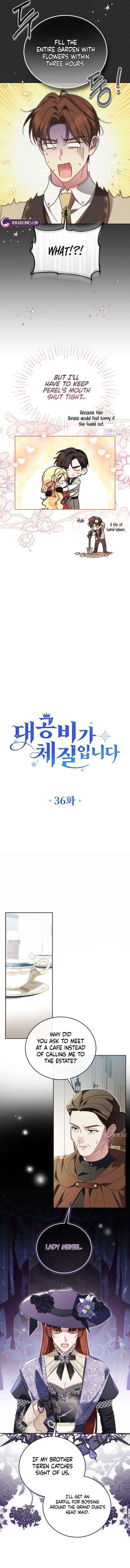 Grand Duchess’s Constitution Chapter 36 page 5 - 