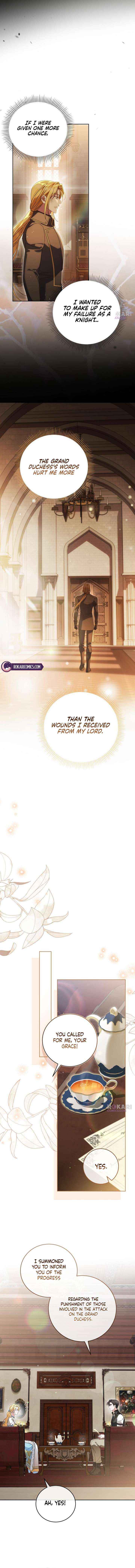 Grand Duchess’s Constitution Chapter 41 page 5 - 
